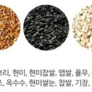 주식회사엠에스피