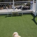 더칠월펜션 이미지