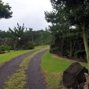 제주빌레성통나무휴양펜션 이미지