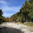 수목원마트편의점 이미지