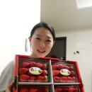 엔돌핀스크린골프 이미지