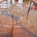 충주시농업기술센터 이미지