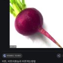 당신은 뇌를 고칠 수 있다 9장. 약이 되는 음식 이미지