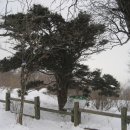 만항적조암 이미지