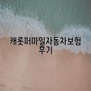 마스타자동차 | 캐롯퍼마일자동차보험 후기