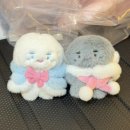 우리개 우리냥이 | 나 고양이 아니거든?! 더현대 찡냥이 팝업 후기🐰❄️🩵