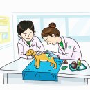 명성동물병원 이미지