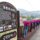 용계2리 대전일보