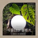 플랜테리어 홈가드닝 | 히포팜텍 식물LED 볼램프 l 감성 플랜테리어 식물등 단스탠드 분위기 있는 식물인테리어