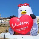 부산첫회 이미지