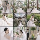 빌라드지디 본식 스냅 DVD 로즈베일리, 범고래필름 계약 후기