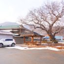 송천1리 마을회관 이미지