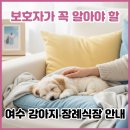 옥과우리장례식장 | 여수 강아지 장례식장 어디가 좋을까? 여수 애견 장례 비용부터 추천 장소, 후기 완벽정리