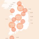 단풍두부 이미지