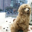 궁내동주민센터 이미지