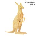 캥거루통상