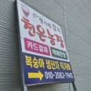 천은농장 이미지