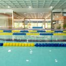 넘버원수영이야기 이미지