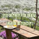 팜카페 빨간머리앤