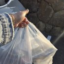 협재여유 | 제주 서귀포 한림 협재 회포장 옹포횟집 아이랑 방문 후기