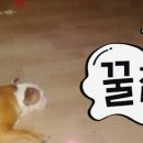 뽕자 이미지