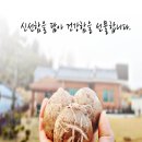 수현농장 이미지