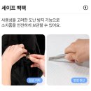 세이프라인 | 유럽여행 가방 추천 브랜든 여행용 세이프라인 내돈내산 후기