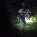 영동 노고산,마니산,사자머리봉,어류산 환종주산행-머나먼 정글을 지나(240615)