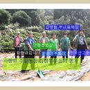 안종호농장 이미지