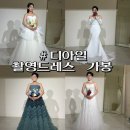 디아 - 수원시 장안구 율전로64번길 12-27 | 디아일 촬영드레스 가봉 후기 + 클레스튜디오
