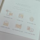 디어뚜뚜 | [청첩장] 01. 바른손카드 청첩장 실물 후기💌 감성부터 미니멀까지, 예랑이랑 반반씩 취향껏 골라봤어요!