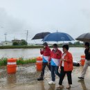 망성면행정복지센터 이미지