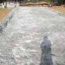 내포비료 이미지