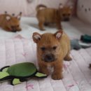 오픈주 하남스타필드점 이미지