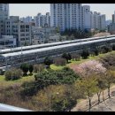 더웰대야미 이미지