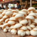 비엠(BM) 이미지