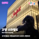 고메펫(gourmet pet) | 고양 스타필드 애견동반 후기 | 펫유모차 대여와 몰리스 주차·식당가·펫파크까지