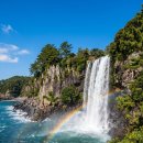 아시아를 향한 음악 여행 | 제주도 1박2일 완벽 코스 실제 다녀온 후기