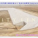 정현정비