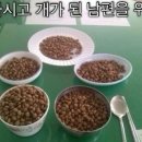 와용