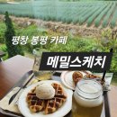 버터스케치 | 평창 카페 메밀스케치｜봉평 감성카페 메밀라떼와 메밀크로플이 맛있는 이효석문학관 카페