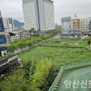 증산-010 이미지