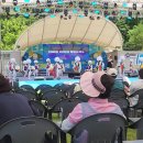 고령 멜빙축제 이미지