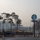 스타벅스시흥대야동점 이미지