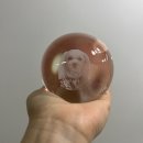 멍냥멍냥 | 멍냥구슬 후기, 반려동물 장례 준비하며 본 강아지 유골함 소품