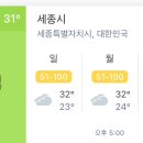 세종시 날씨 정보 이미지
