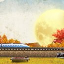 바디퍼포먼스 짐 이미지