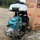 북성주유소 | 명절 벌초 잔디관리 북성로예초기 TL43HS 내돈내산 후기