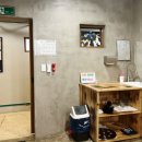 봄내대가 이미지