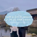 세탁플러스(1호점) | 7개월 아기 첫 해외여행 준비 체크리스트 | 일본 도쿄 2박 3일 가족여행 현실 후기